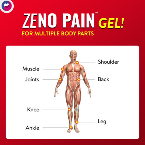 zenopain-2.jpg-filenameUTF-8zenopain202.jpg zenopain-2.jpg-filenameUTF-8zenopain202.jpg